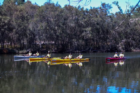 Private Guided River Kayak Tour - Surfers Gold Coast 5