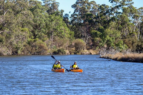 Private Guided River Kayak Tour - Surfers Gold Coast 7