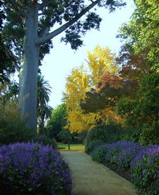 Albury Botanic Garden - Surfers Gold Coast 0