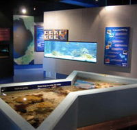 Marine and Freshwater Discovery Centre - Surfers Gold Coast
