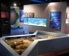 Marine And Freshwater Discovery Centre - Surfers Gold Coast 0