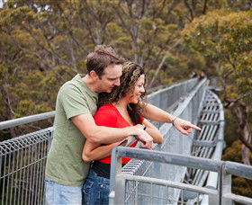 Valley Of The Giants Tree Top Walk - Surfers Gold Coast 0