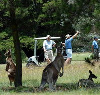Glen Innes Golf Club - Surfers Gold Coast