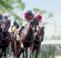 Colac Turf Club - Surfers Gold Coast