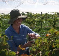 Kingsdale Wines - Surfers Gold Coast