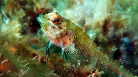 Busselton Jetty & Underwater Observatory Tour - Surfers Gold Coast 7