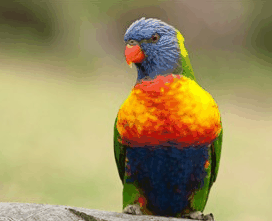 Booderee National Park - Surfers Gold Coast 1