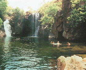 Walker Creek Walk - Surfers Gold Coast 0