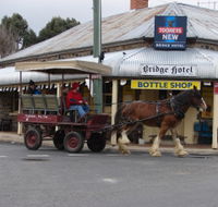 Bathurst Farm Experience - Surfers Gold Coast