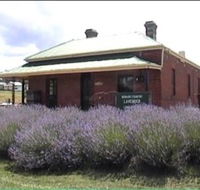 Lavender House in Railway Park - Surfers Gold Coast