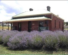 Lavender House In Railway Park - Surfers Gold Coast 0