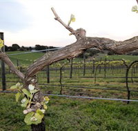 Nalbra Estate Wines - Surfers Gold Coast
