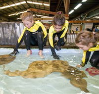 Australian Shark and Ray Centre - Surfers Gold Coast