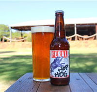 Feral Brewing Company - Surfers Gold Coast