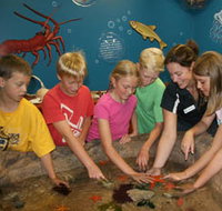 Naturaliste Marine Discovery Centre - Surfers Gold Coast