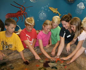 Naturaliste Marine Discovery Centre - Surfers Gold Coast 0
