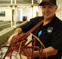 Lobster Shack - Surfers Gold Coast