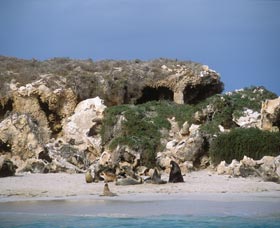 Jurien Bay WA Surfers Gold Coast