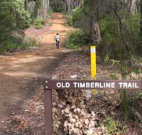 Old Timberline and Sidings Rail Trails - Surfers Gold Coast