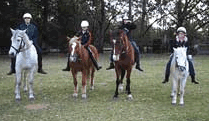 Valhalla Horse Riding - Surfers Gold Coast 1