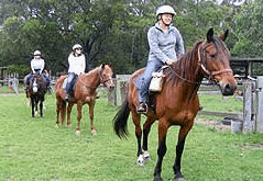 Valhalla Horse Riding - Surfers Gold Coast 2