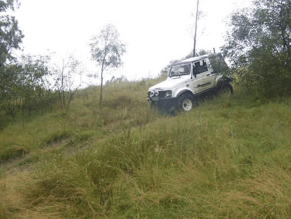 Scenic Rim Adventure Park - Surfers Gold Coast 1
