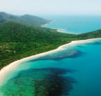 Jungle Tours and Trekking - Surfers Gold Coast