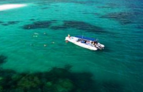 Ocean Safari - Surfers Gold Coast 1