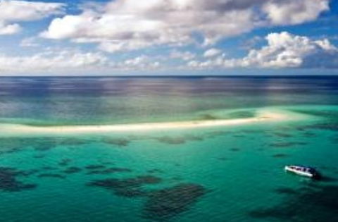 Ocean Safari - Surfers Gold Coast 2