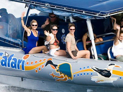 Ocean Safari - Surfers Gold Coast 3