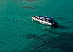 Ocean Safari - Surfers Gold Coast 5