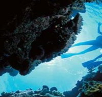 Deep Sea Divers Den - Surfers Gold Coast