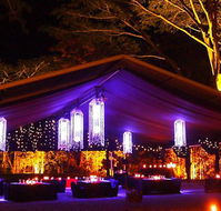 Flames Of The Forest - Surfers Gold Coast