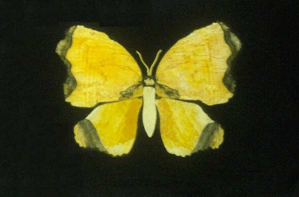 Carstairs QLD Surfers Gold Coast