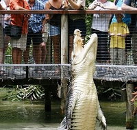 Hartley's Crocodile Adventures - Surfers Gold Coast