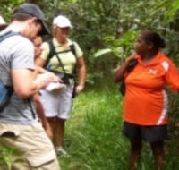 Ingan Tours - Spirit of the Rainforest Tour - Surfers Gold Coast