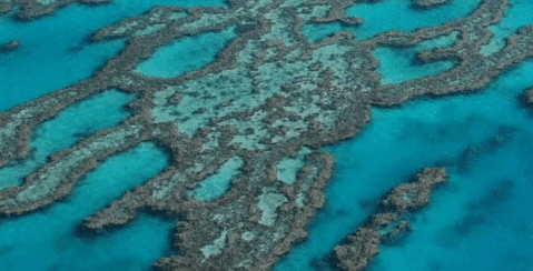 Abel Point Marina - Surfers Gold Coast 4