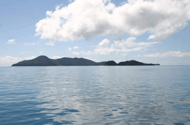 Whitehaven Xpress Whitehaven Beach Tours - Surfers Gold Coast 2