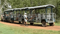 Whitsunday Crocodile Safari - Surfers Gold Coast 2