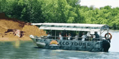 Whitsunday Crocodile Safari - Surfers Gold Coast 3