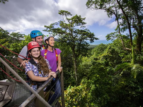 Jungle Surfing Canopy Tours And Jungle Adventures Nightwalks - Surfers Gold Coast 1
