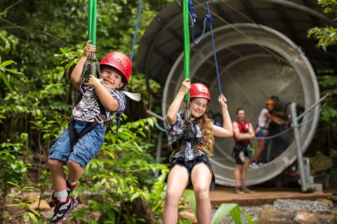 Jungle Surfing Canopy Tours And Jungle Adventures Nightwalks - Surfers Gold Coast 2