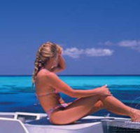 Mike Ball Dive Expeditions - Surfers Gold Coast