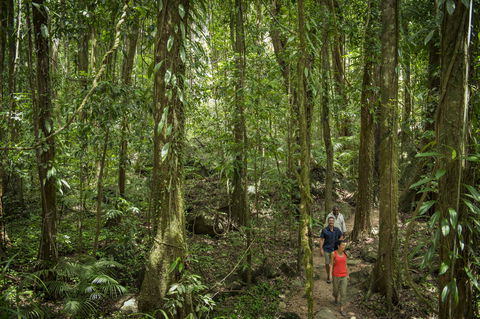 Mossman Gorge Centre - Surfers Gold Coast 1