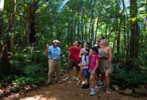 Ngadiku Dreamtime Walks - Mossman Gorge Centre - Surfers Gold Coast 1