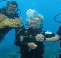 Yardarm Pty Ltd t/a Passions of Paradise - Surfers Gold Coast