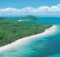 Reef and Rainforest Connections - Surfers Gold Coast