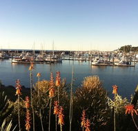 Mantaray Charters - Surfers Gold Coast