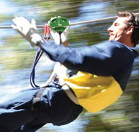 Adventure Parc - Surfers Gold Coast