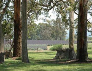 Stanthorpe QLD Surfers Gold Coast